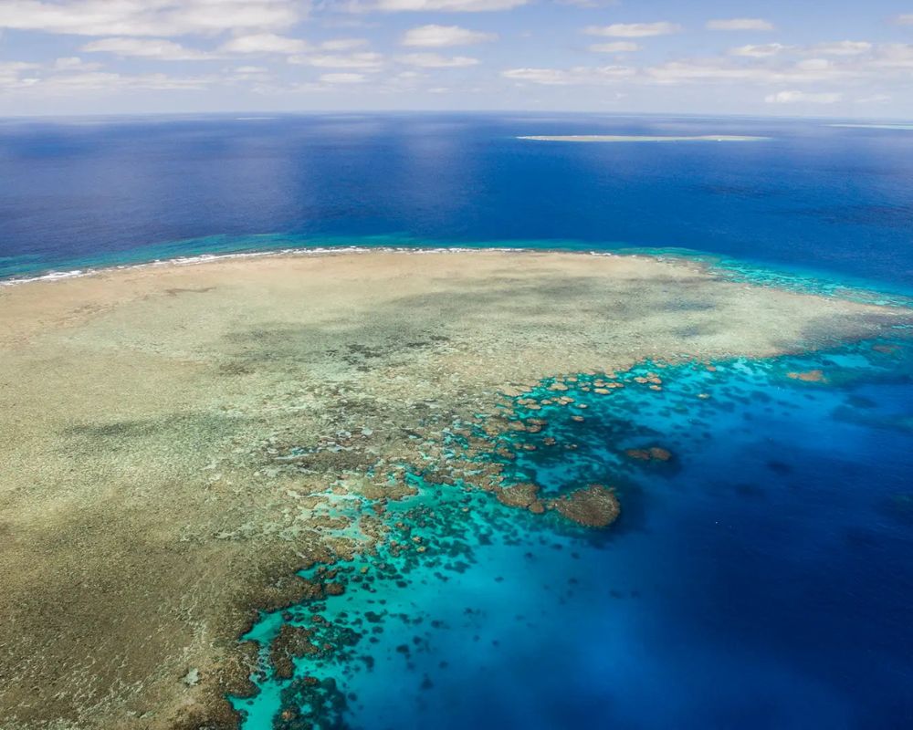 Outer Reef Edge