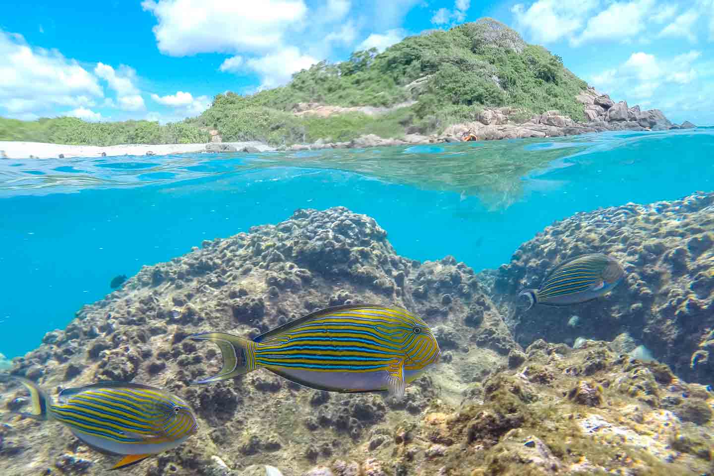 Pigeon Island National Park