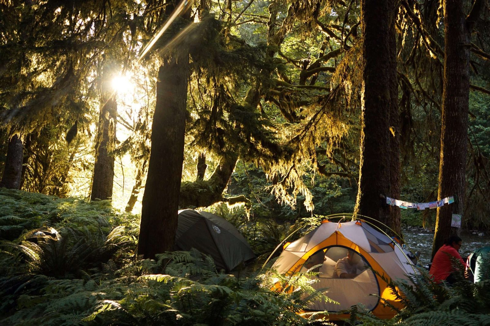 Camping areas