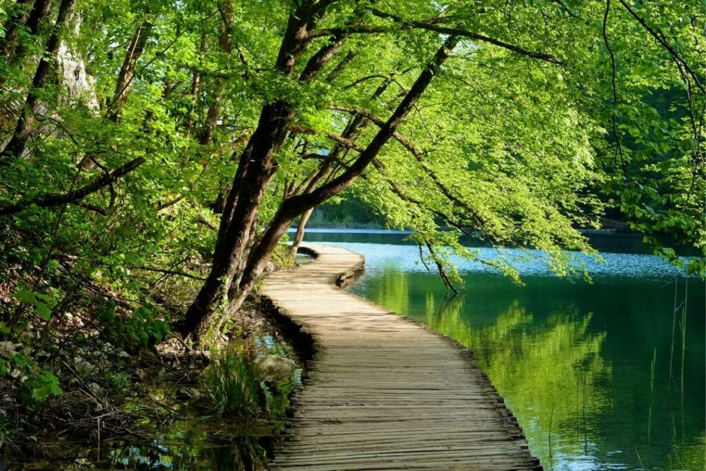 Lower Lakes Boardwalk