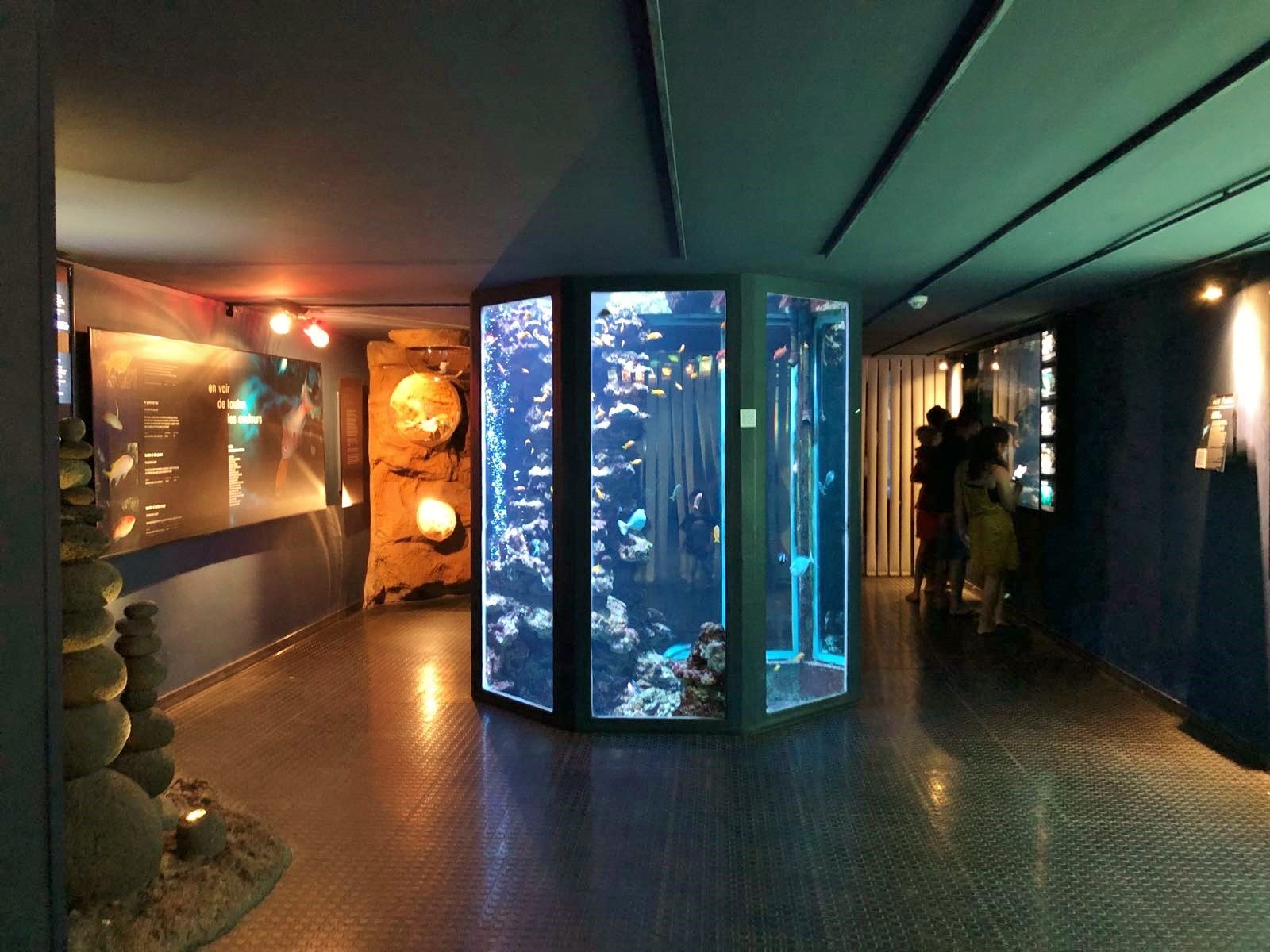 Aquarium de la Réunion
