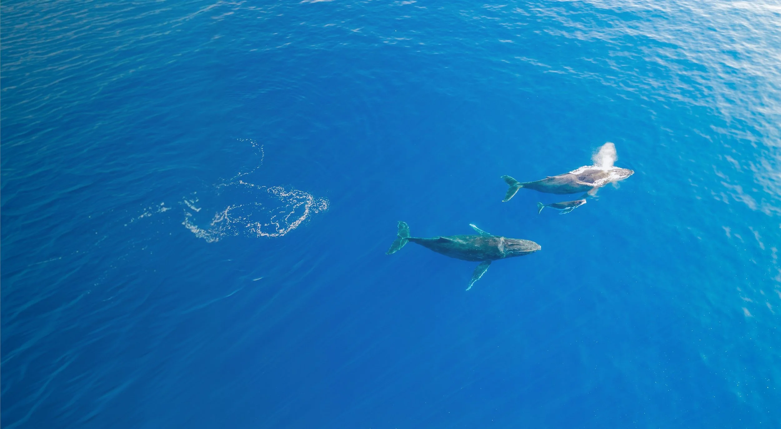 Saint-Gilles-les-Bains Outer Reef
