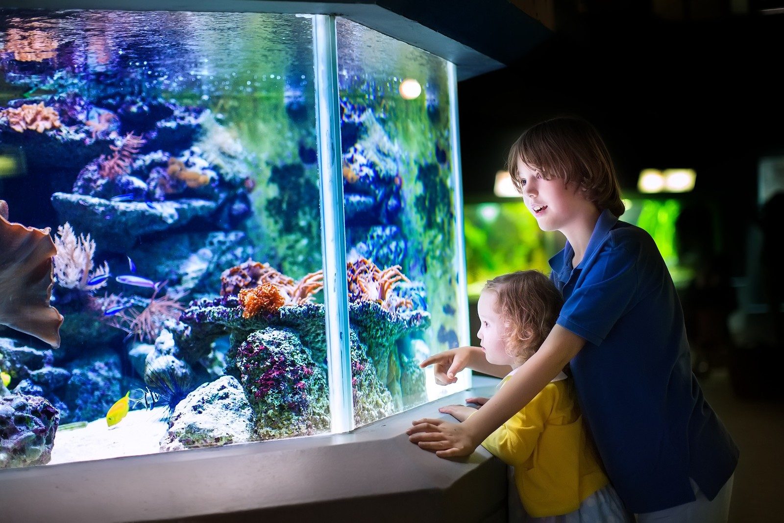 Aquarium de la Réunion
