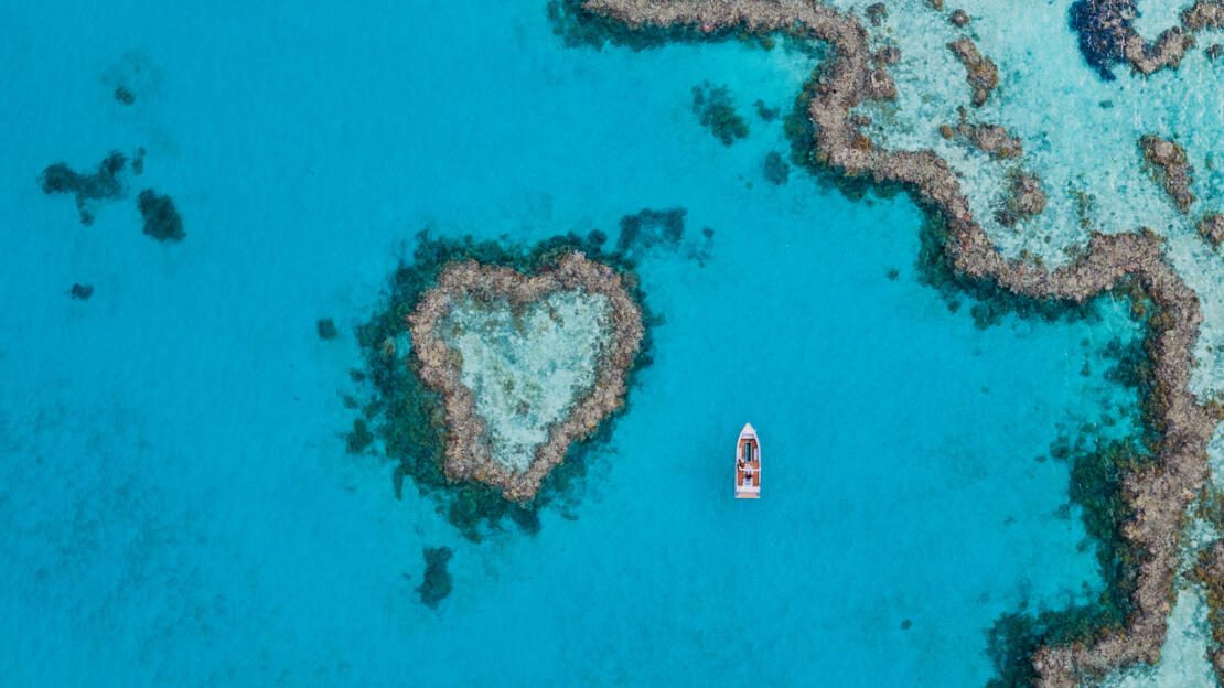 Hardy Reef