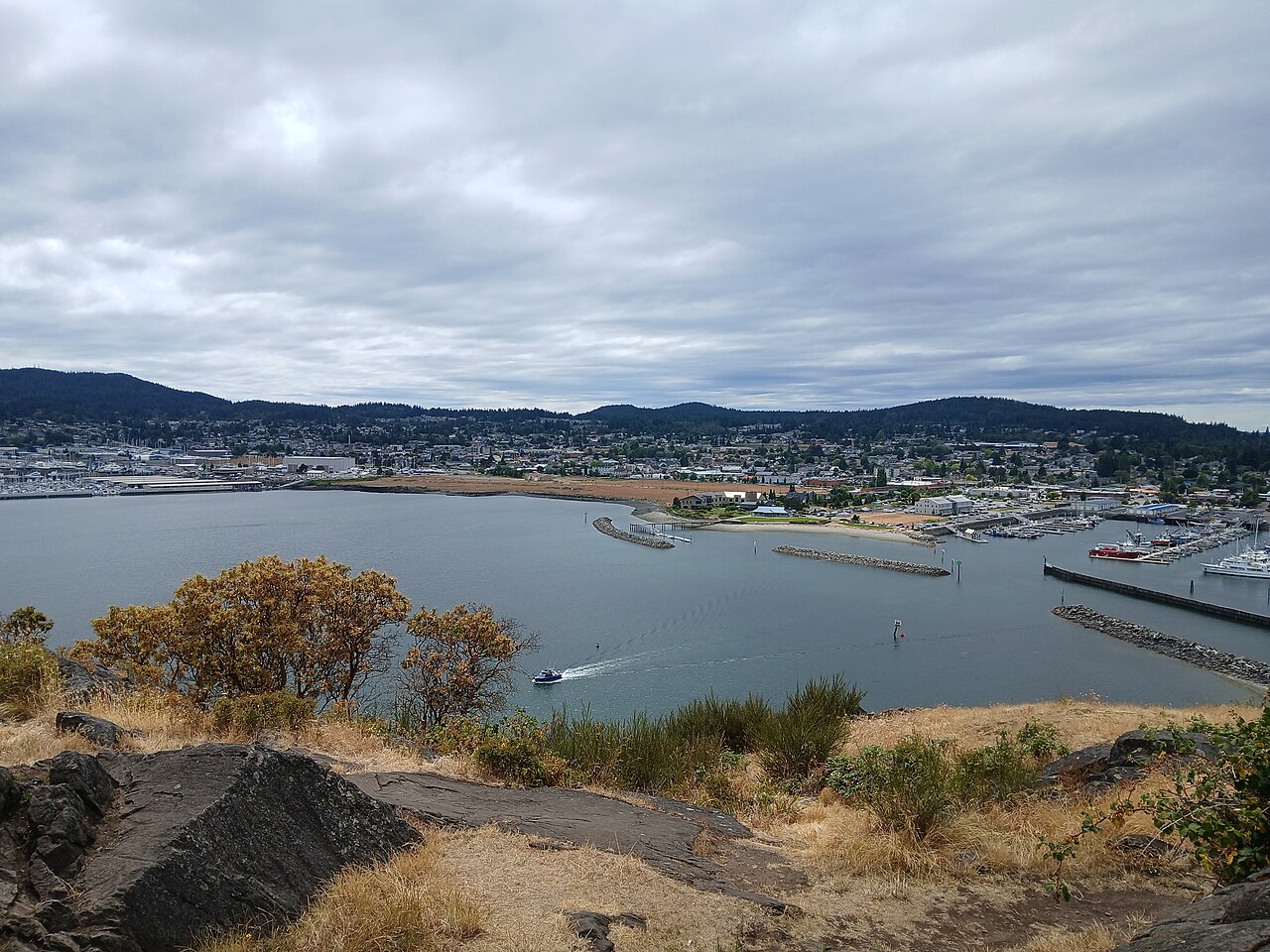 Cap Sante Park Overlook