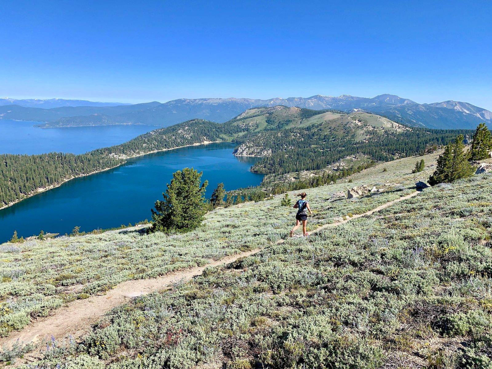 Tahoe Rim Trail