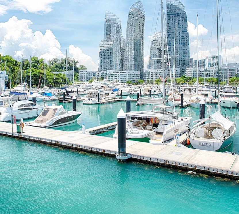 Marina Check-in