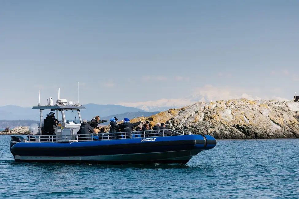 High-Speed Charter Vessels