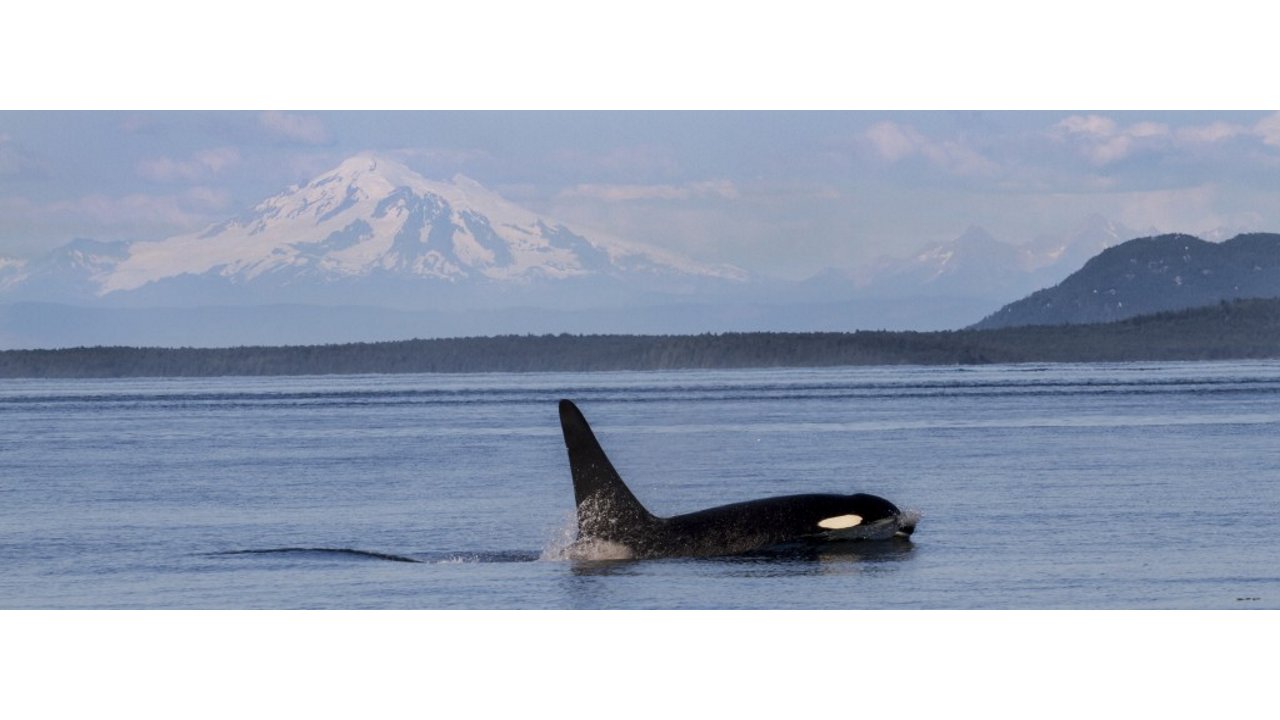 Rosario Strait