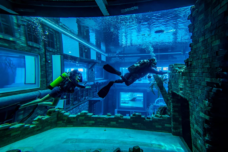 Deep Dive Dubai Observation Windows