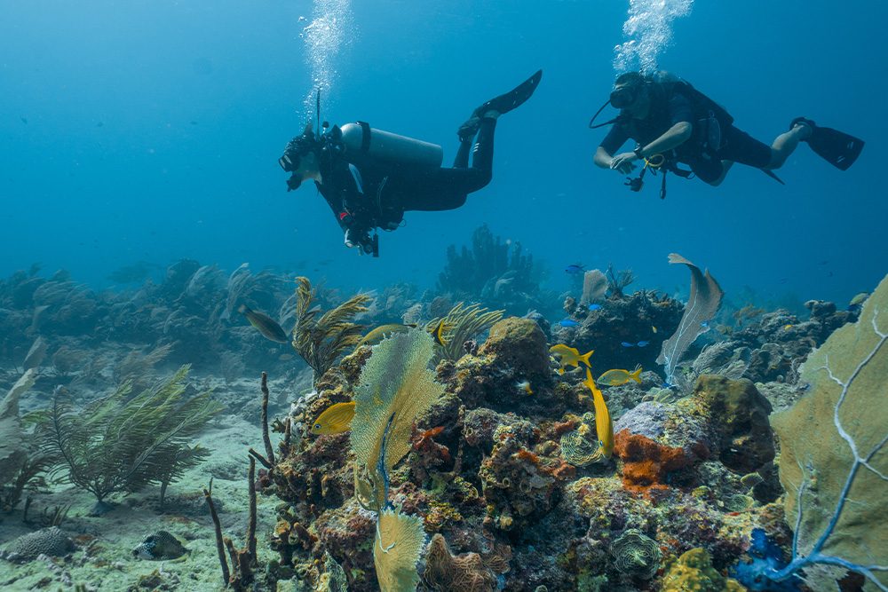 Scuba Diving Dubai Packages