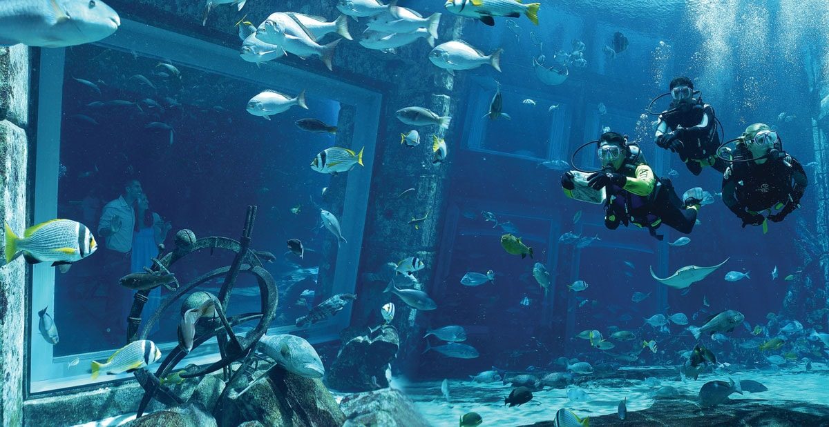 Scuba Diving the Palm Dubai