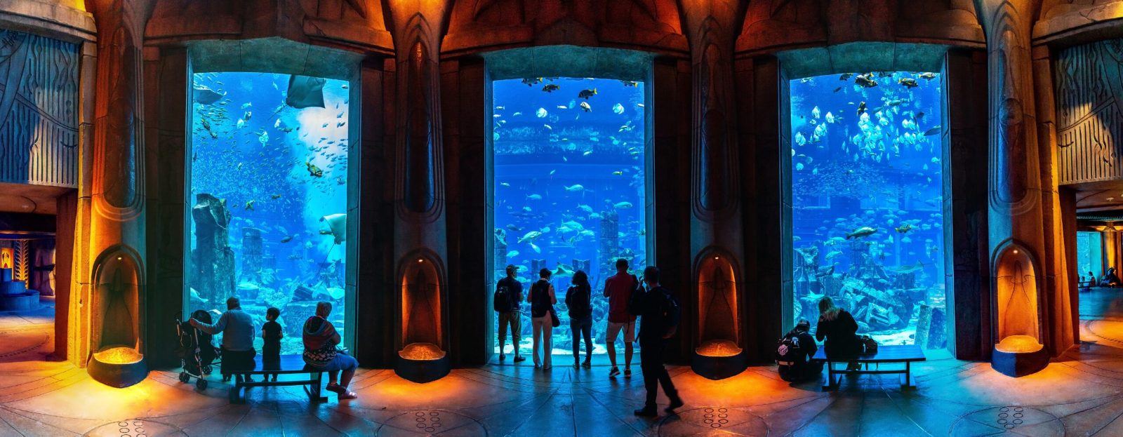 Main Tank