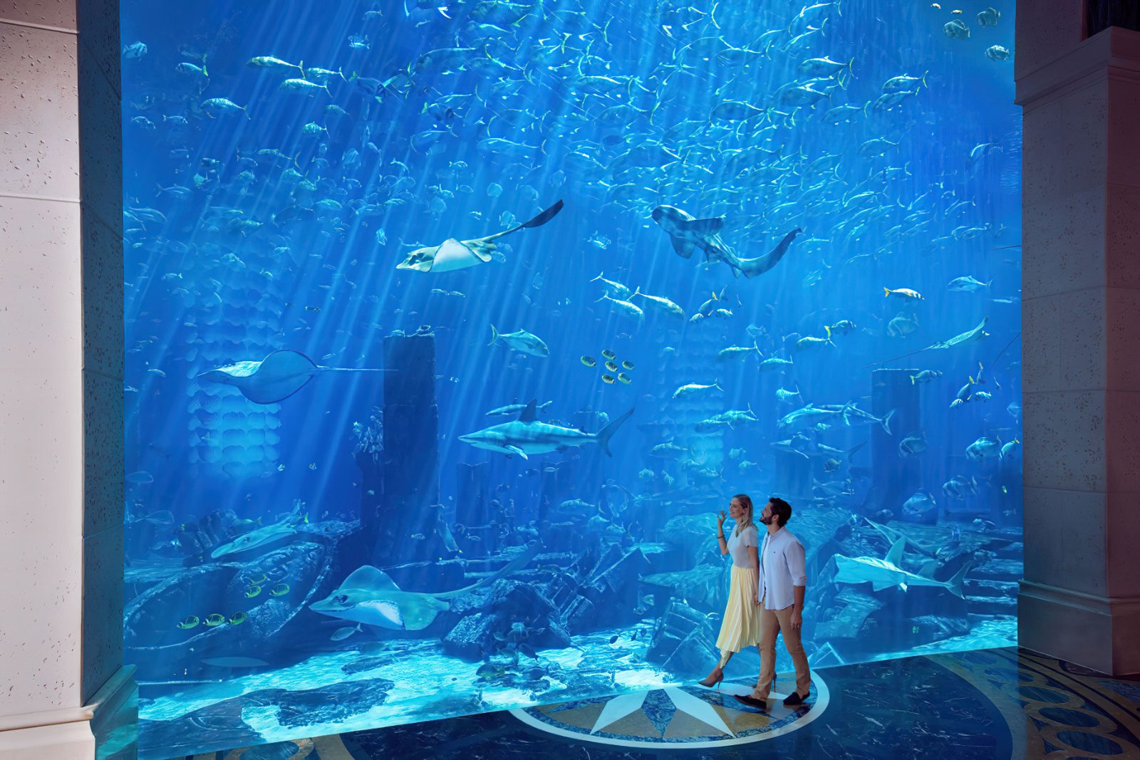 Main Aquarium Tank View