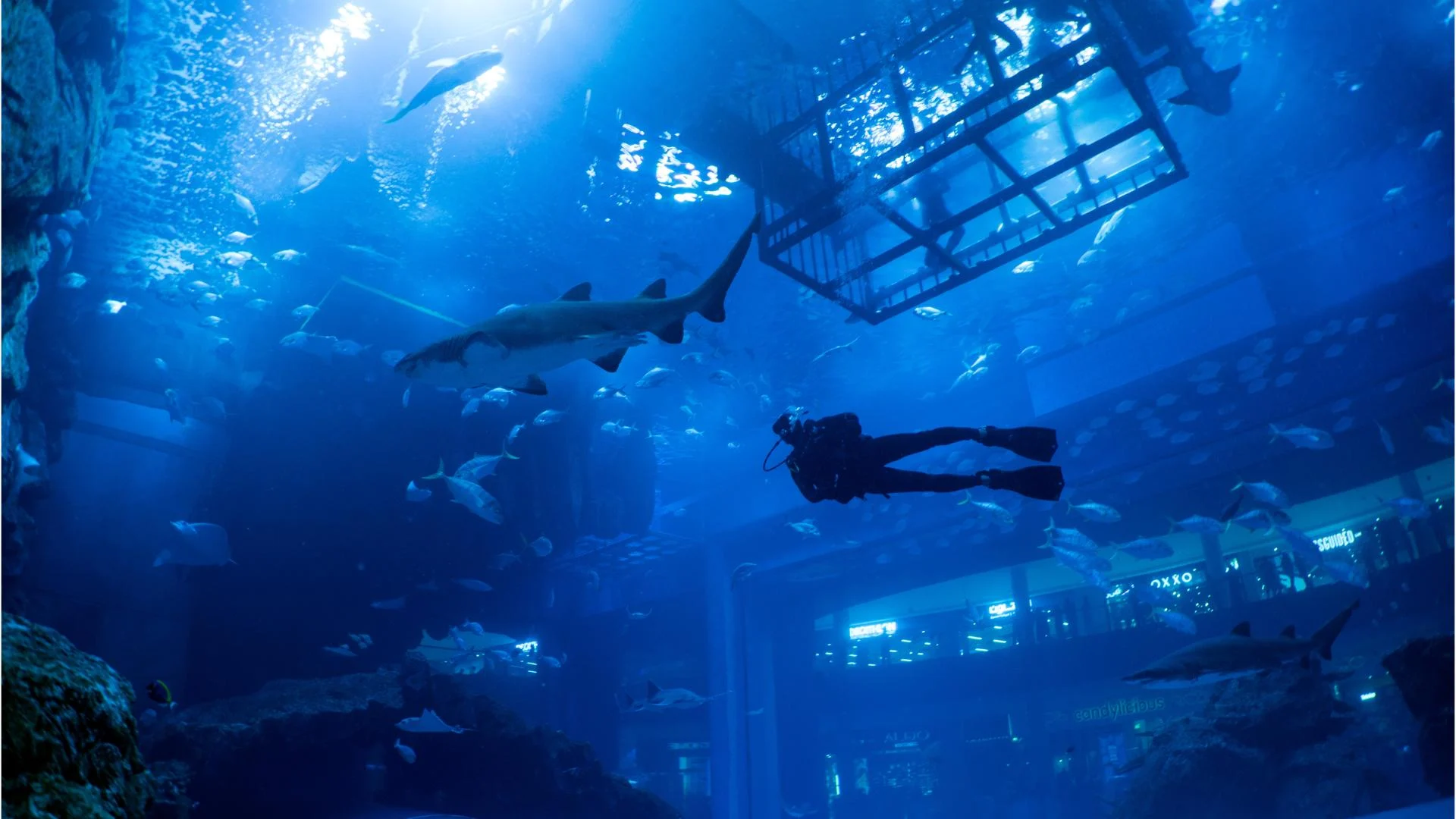 Dive Deck Entrance