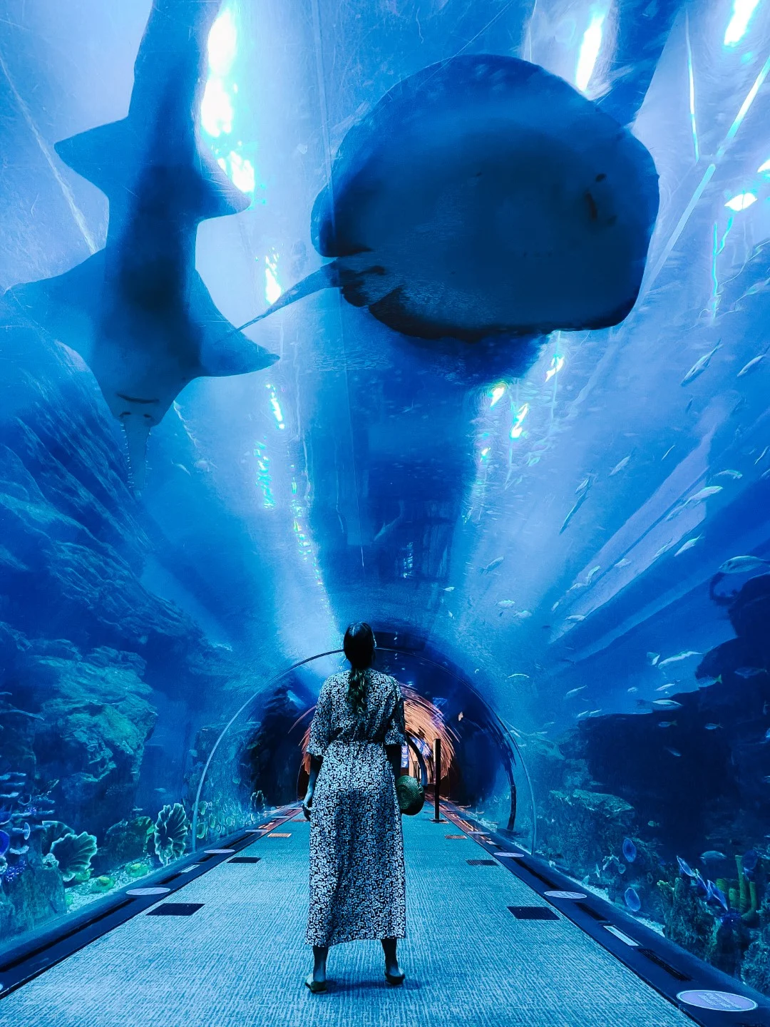 Underwater Tunnel