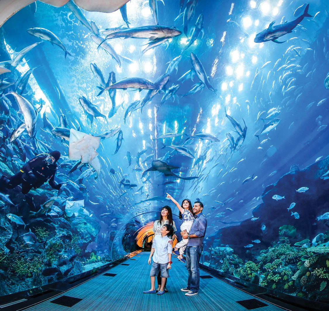Underwater Zoo