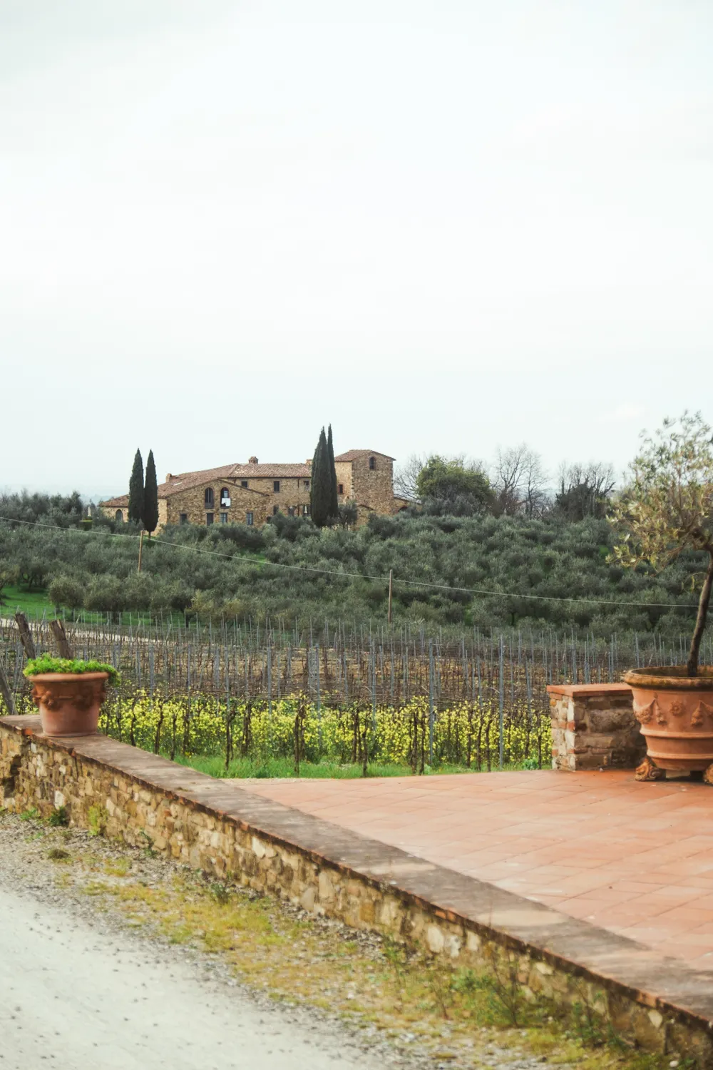 Winery Terrace Overlook