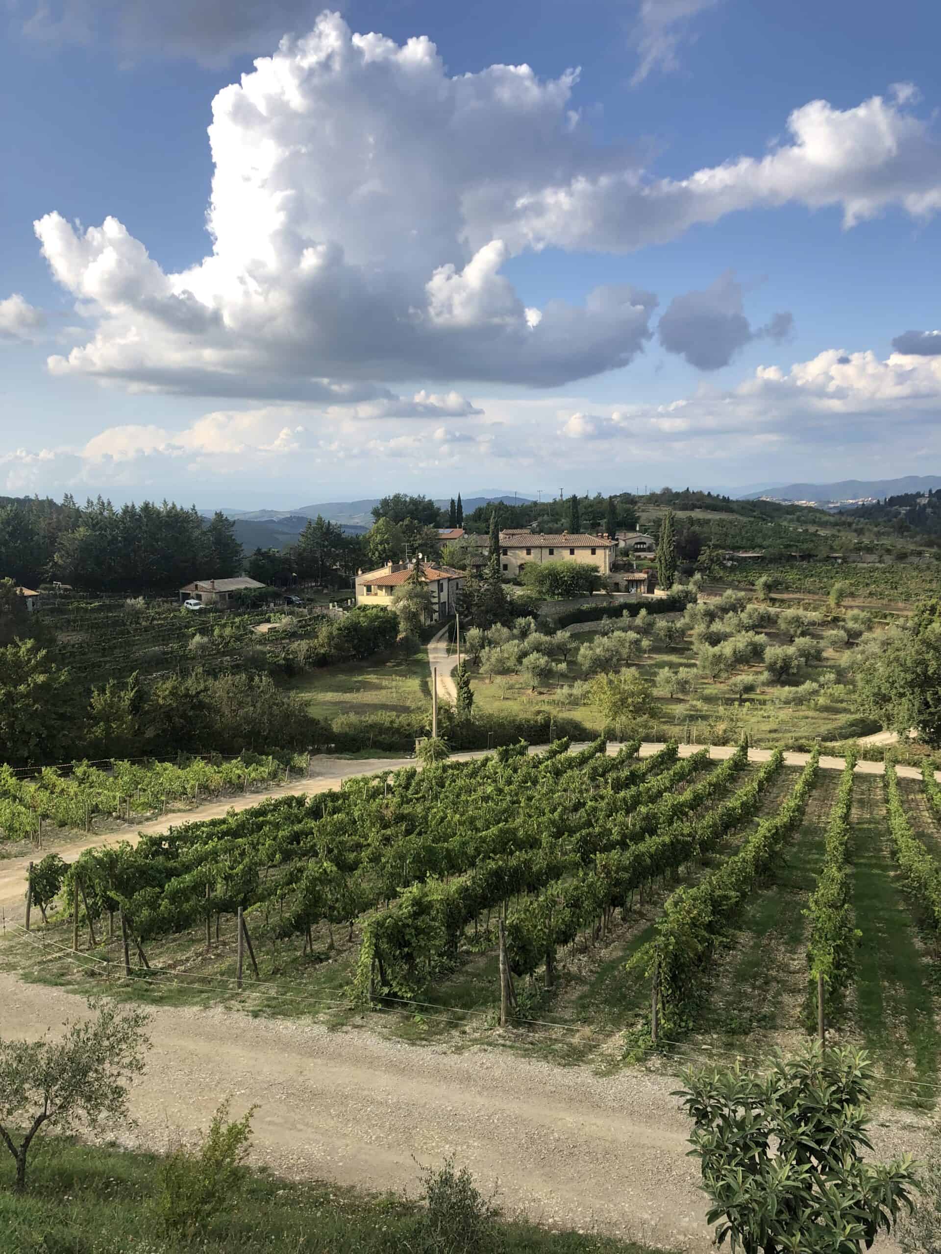 Poggio Amorelli Terrace