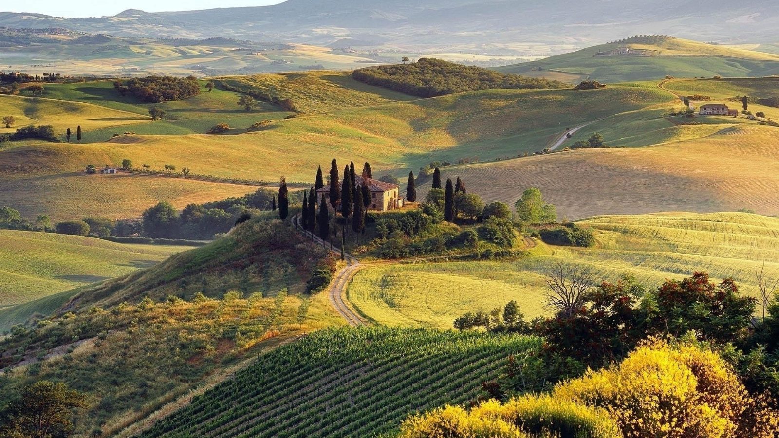 Tuscan Countryside Views