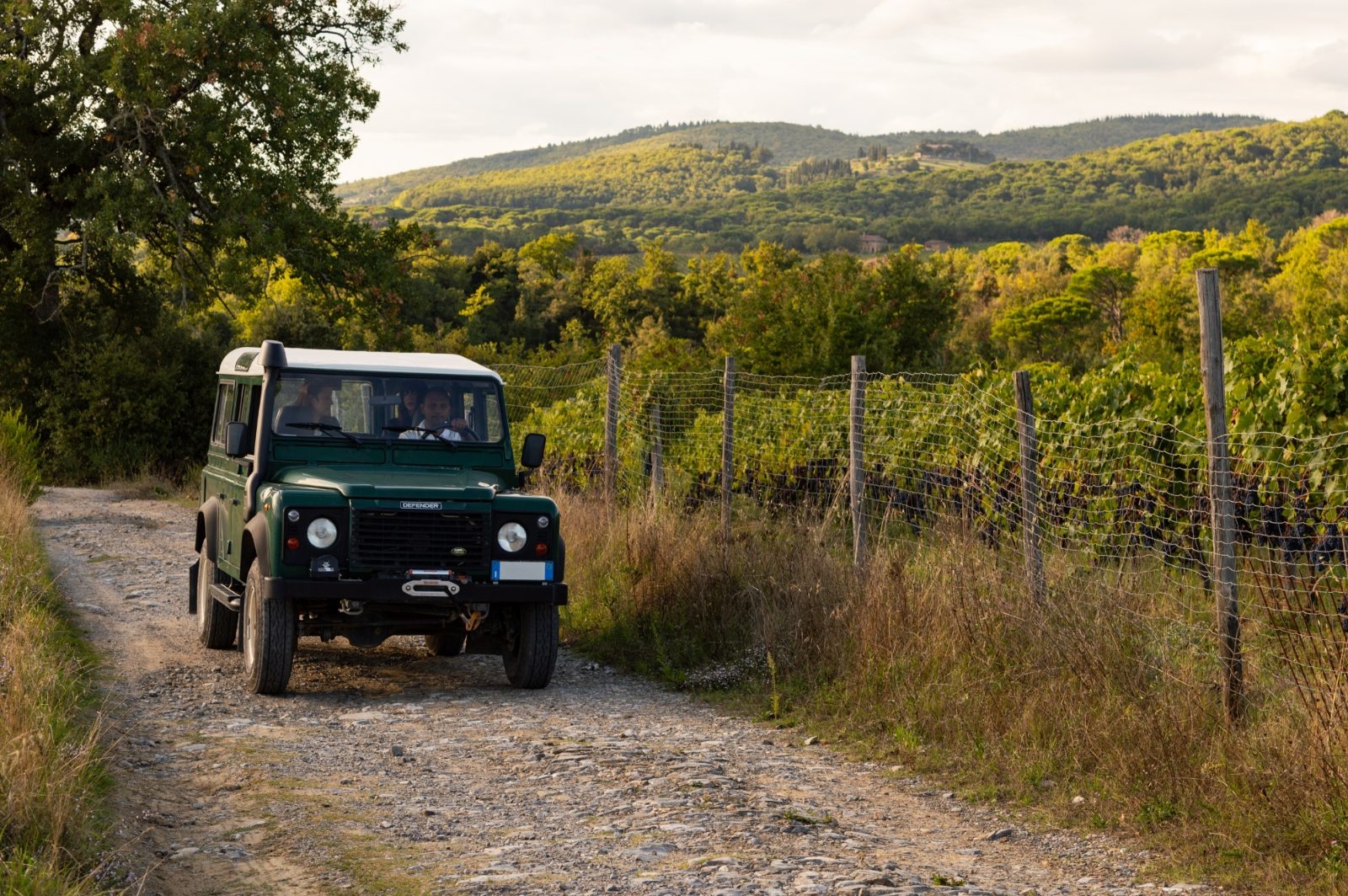 Safari Vehicle Off-Road Trail