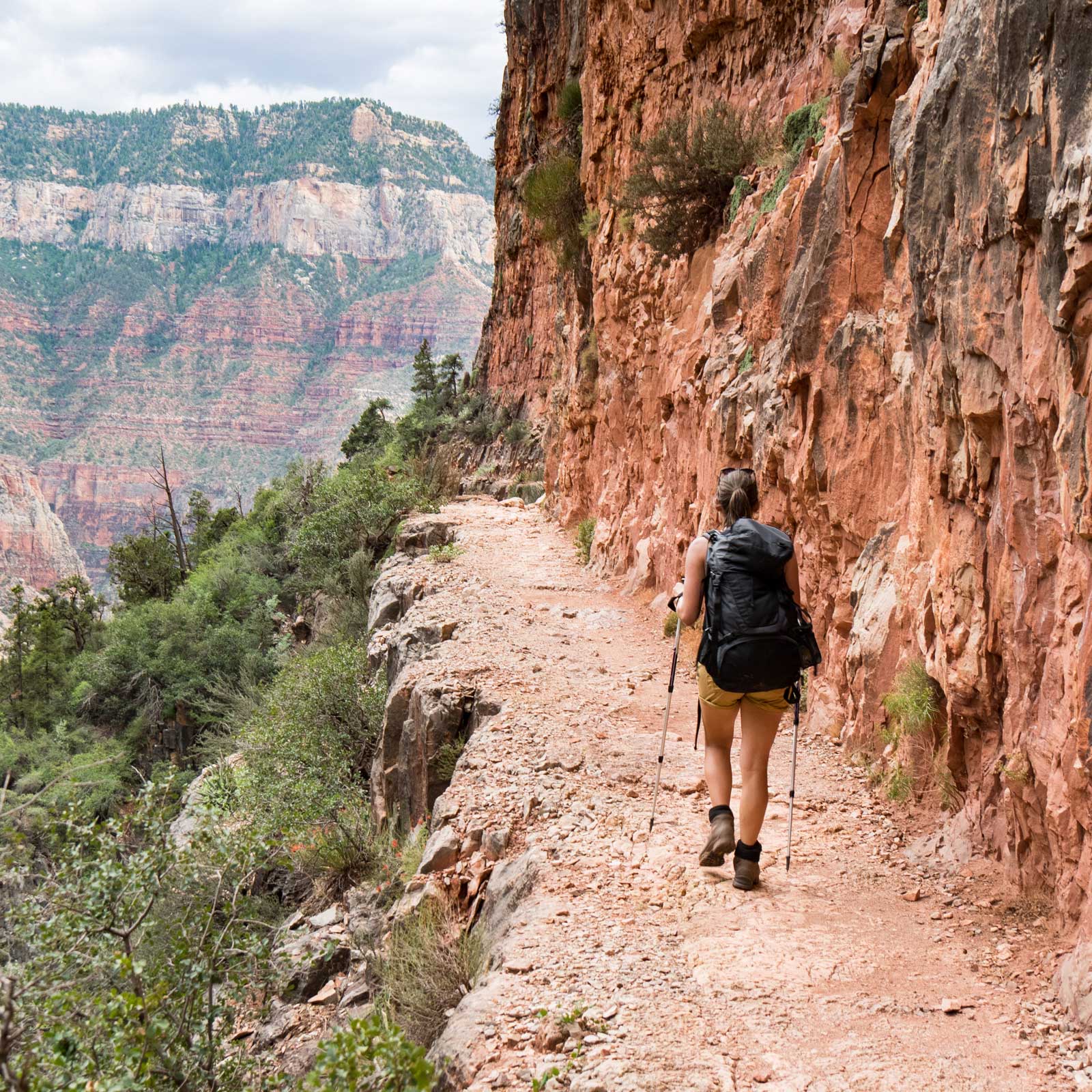 Rim Trail