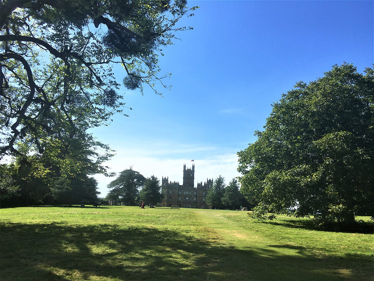 The Woodland Walk