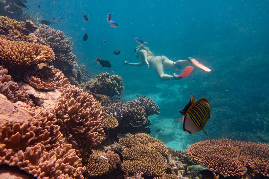Agincourt Reef
