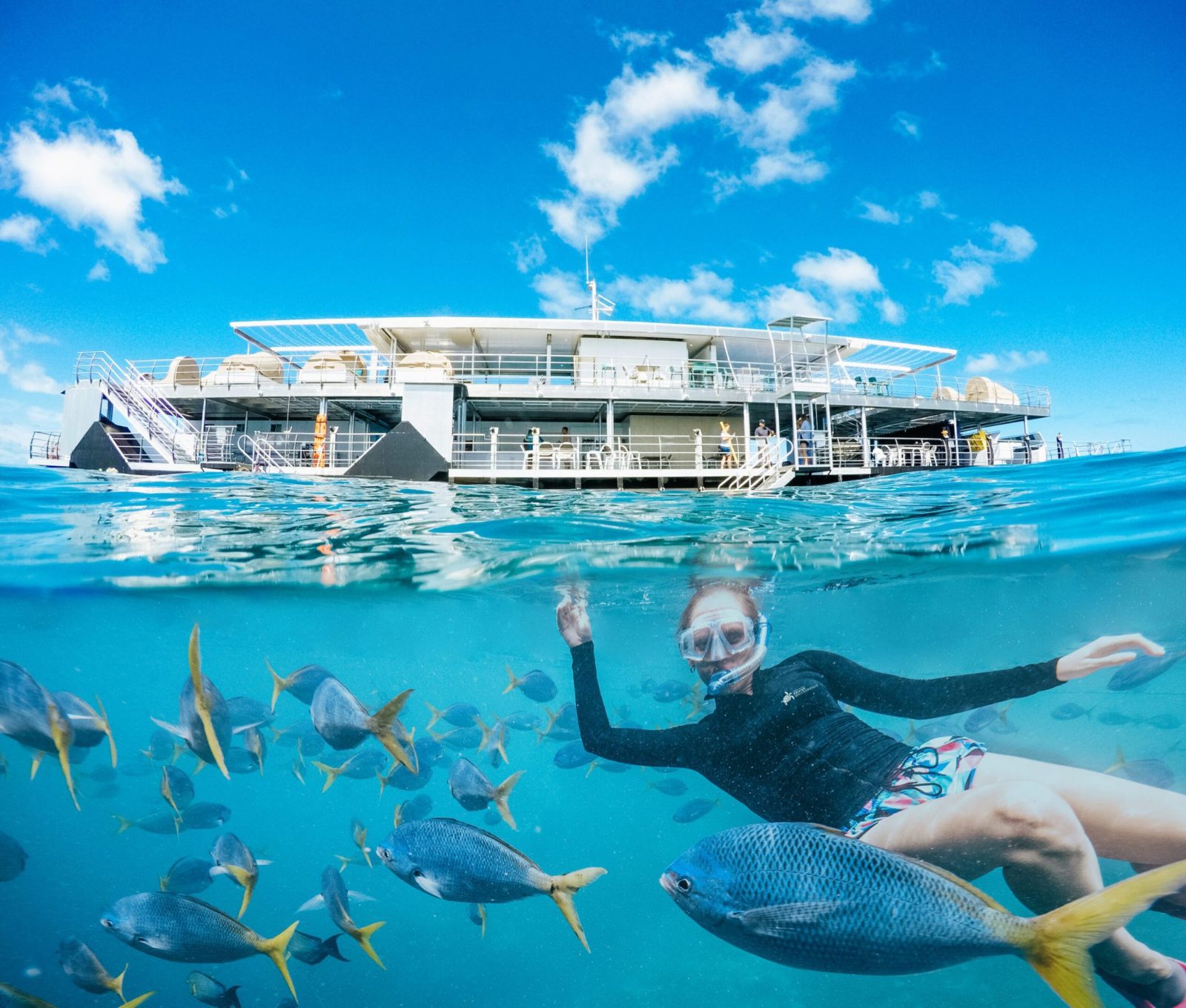 Reef Platform