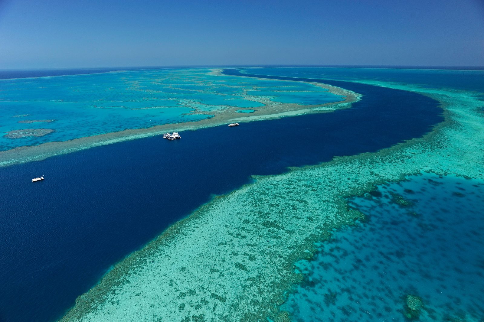 Escape Reef