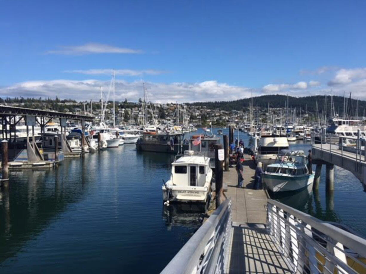Skyline Marina