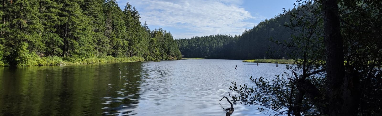 Cranberry Lake