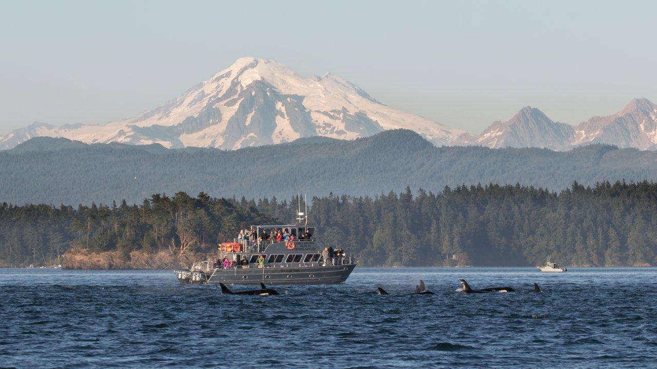 High-speed expedition vessel