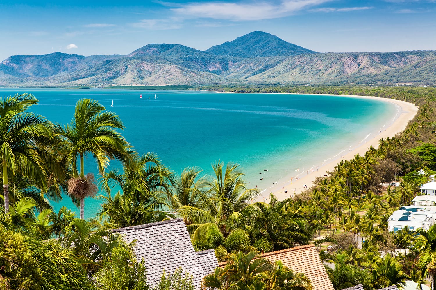 Tropical Island Beach Shoreline