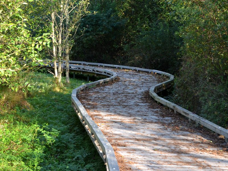 Ship Harbor Interpretive Preserve Boardwalk