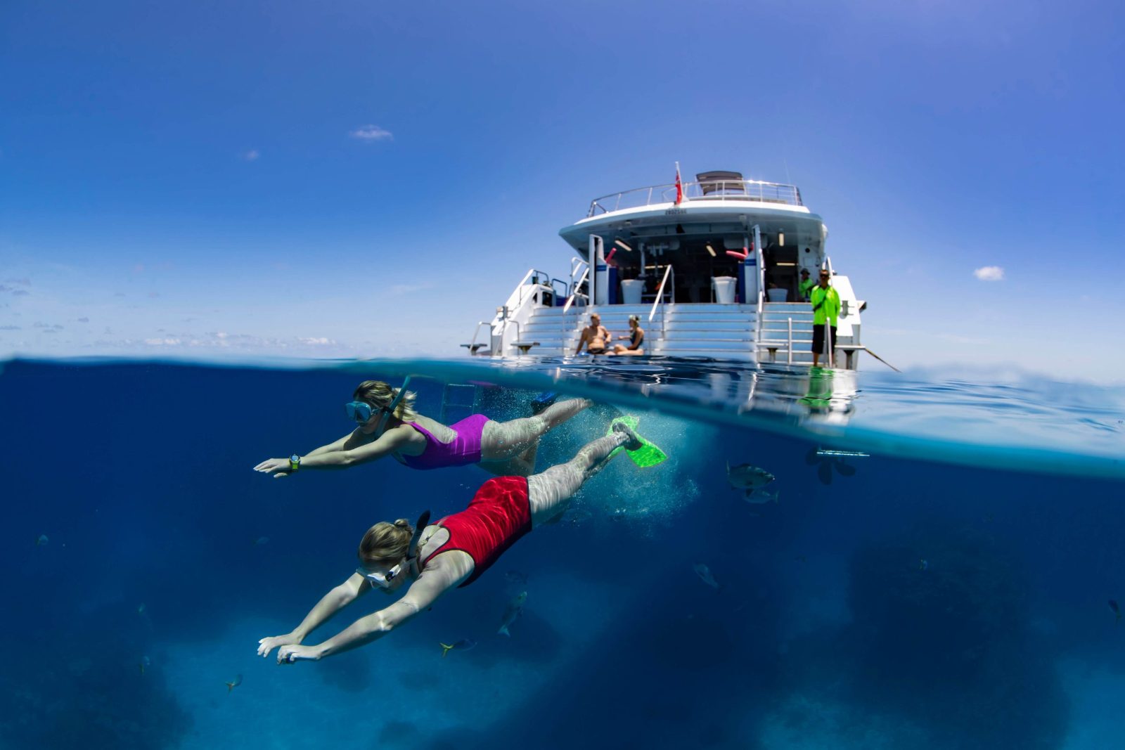 Snorkel Entry Ladder
