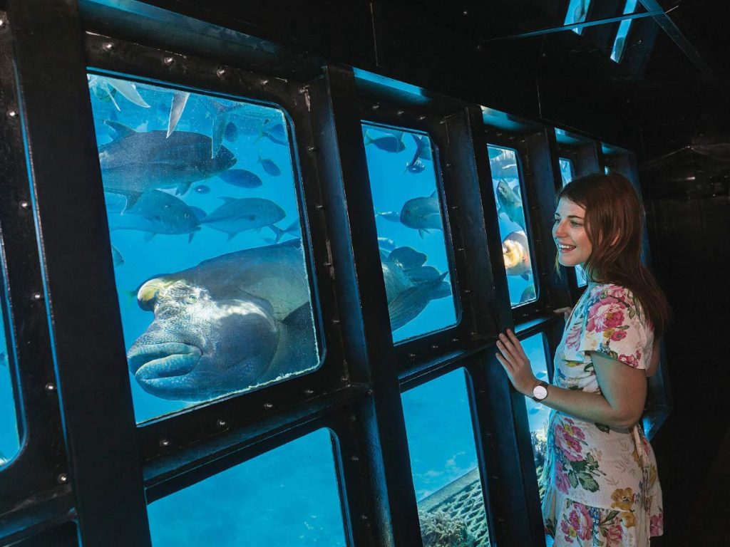 Moore Reef Activity Platform