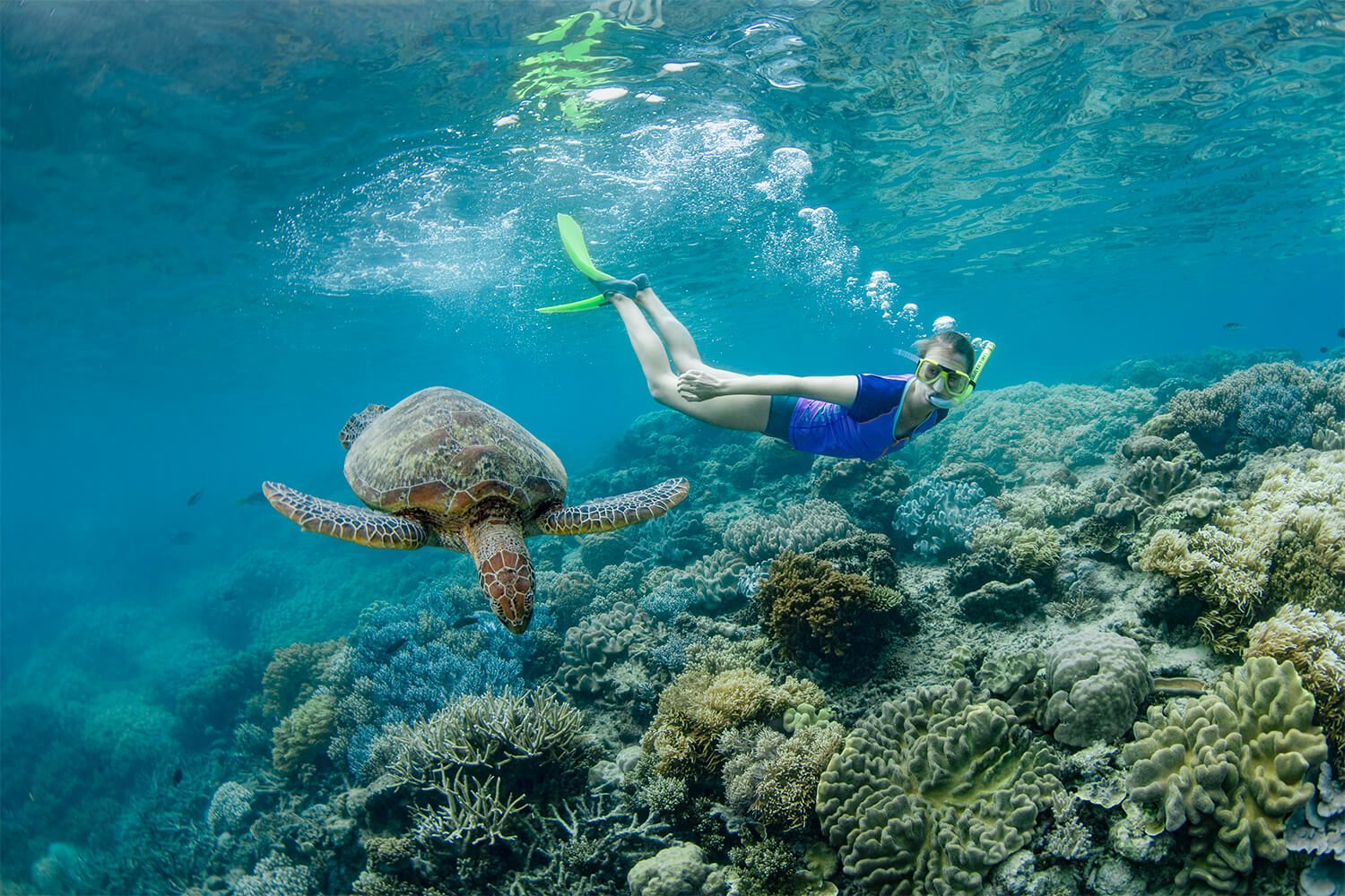 Snorkeling Cairns Half Day