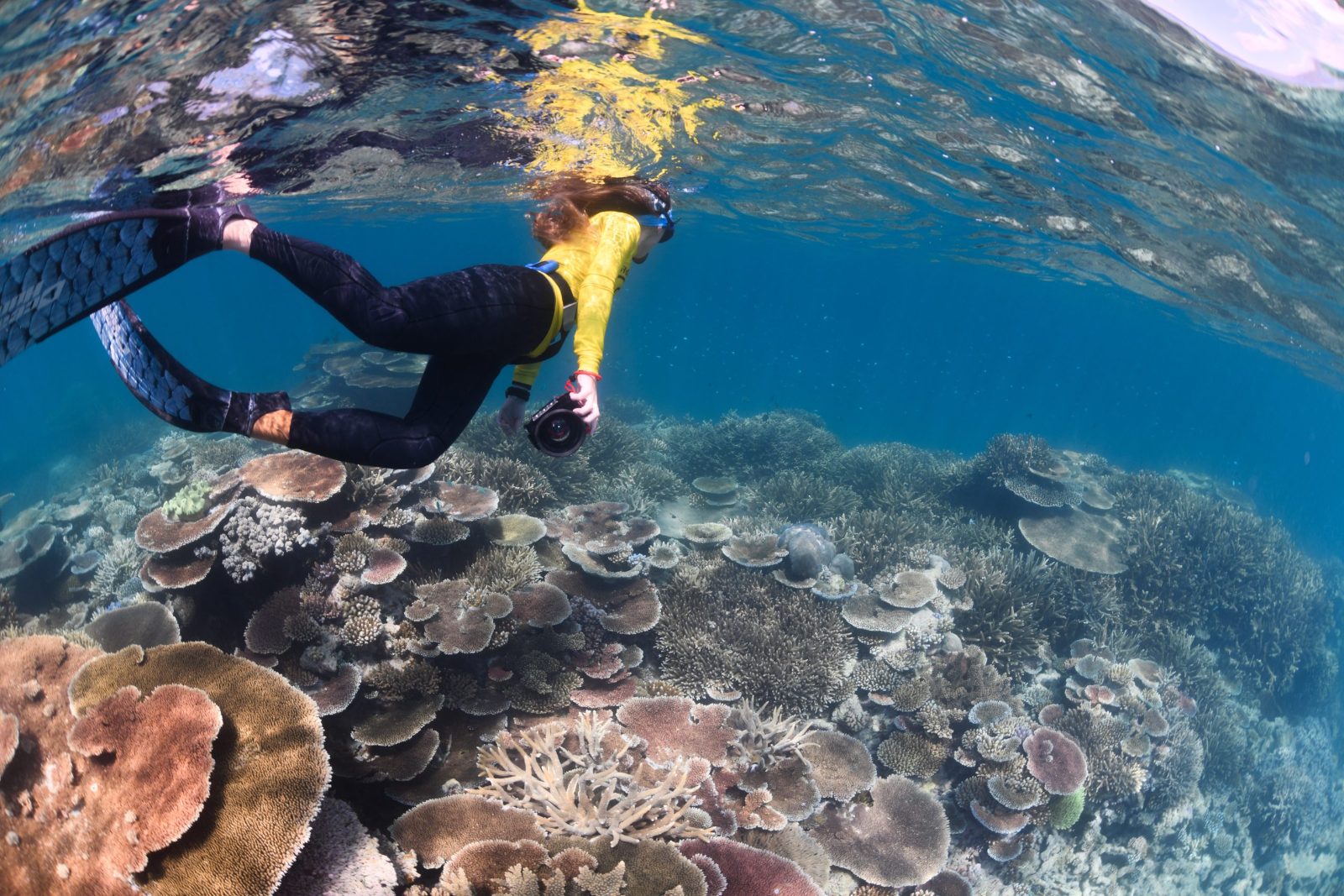 Outer Reef Sites