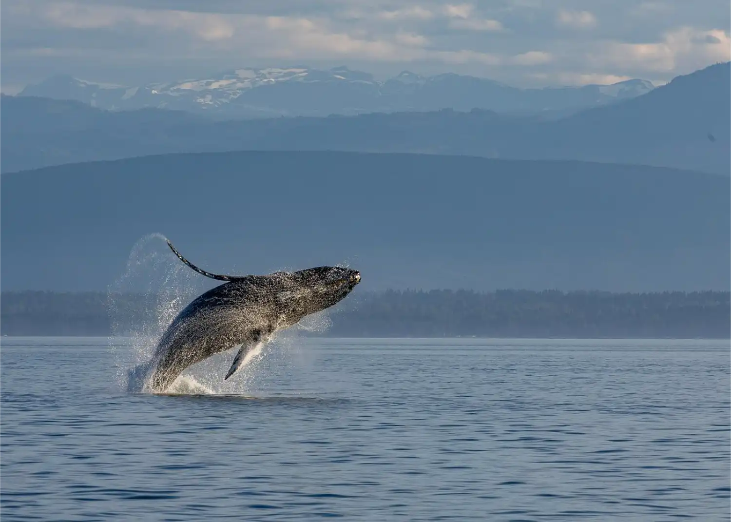 Salish Sea Navigation