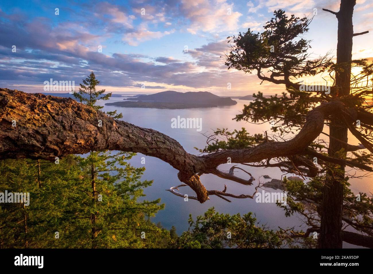 Rosario Strait