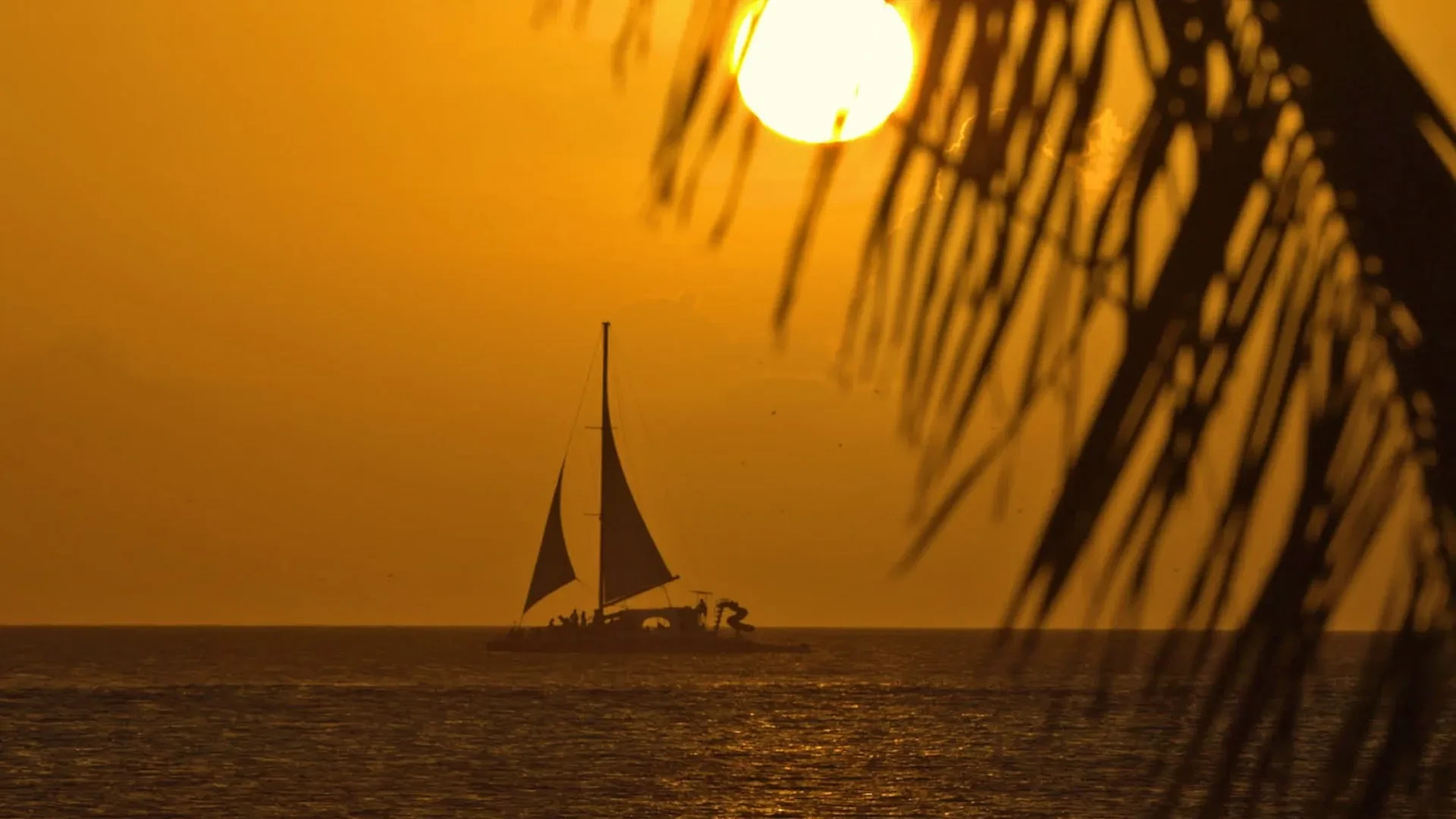 Sunset Silhouette Point