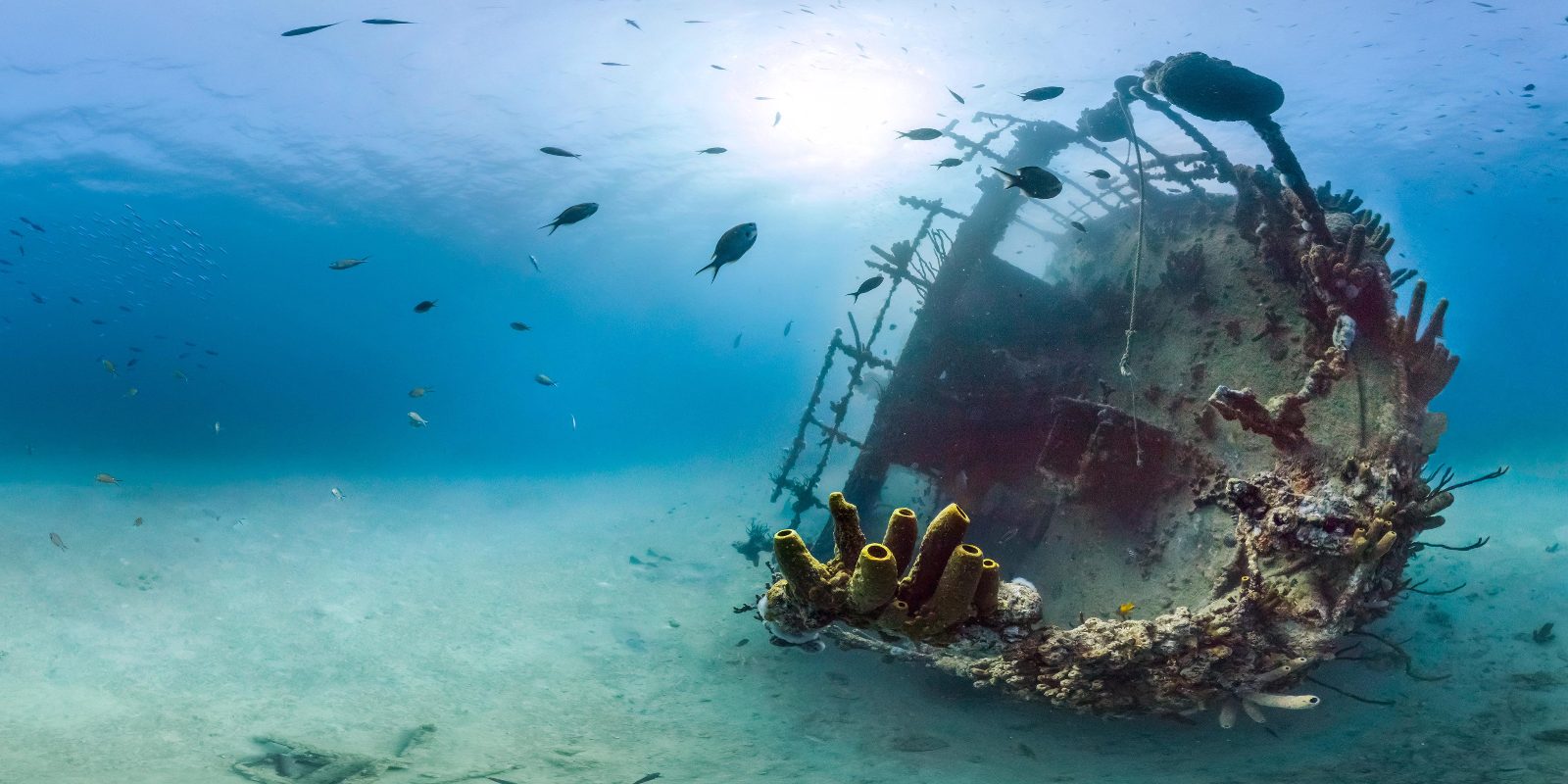 Antilla Shipwreck
