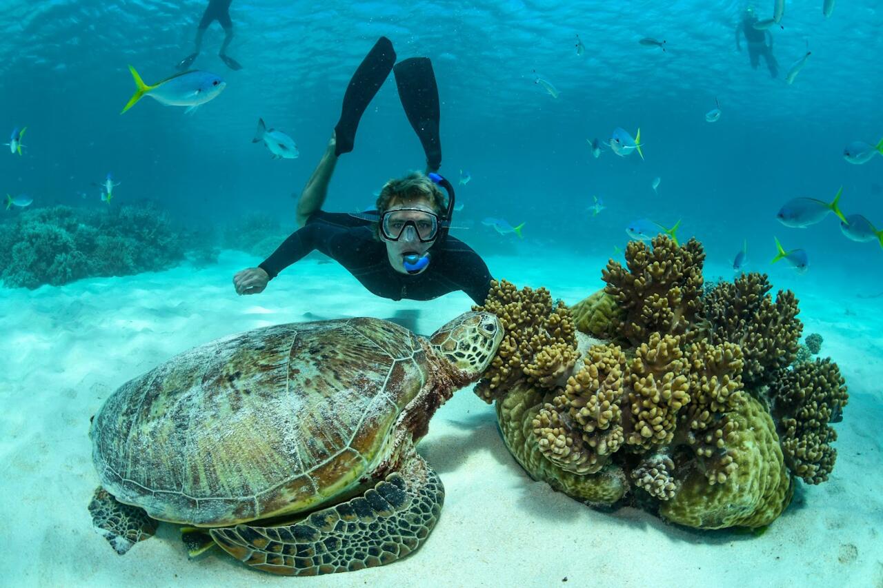 Snorkeling Stop
