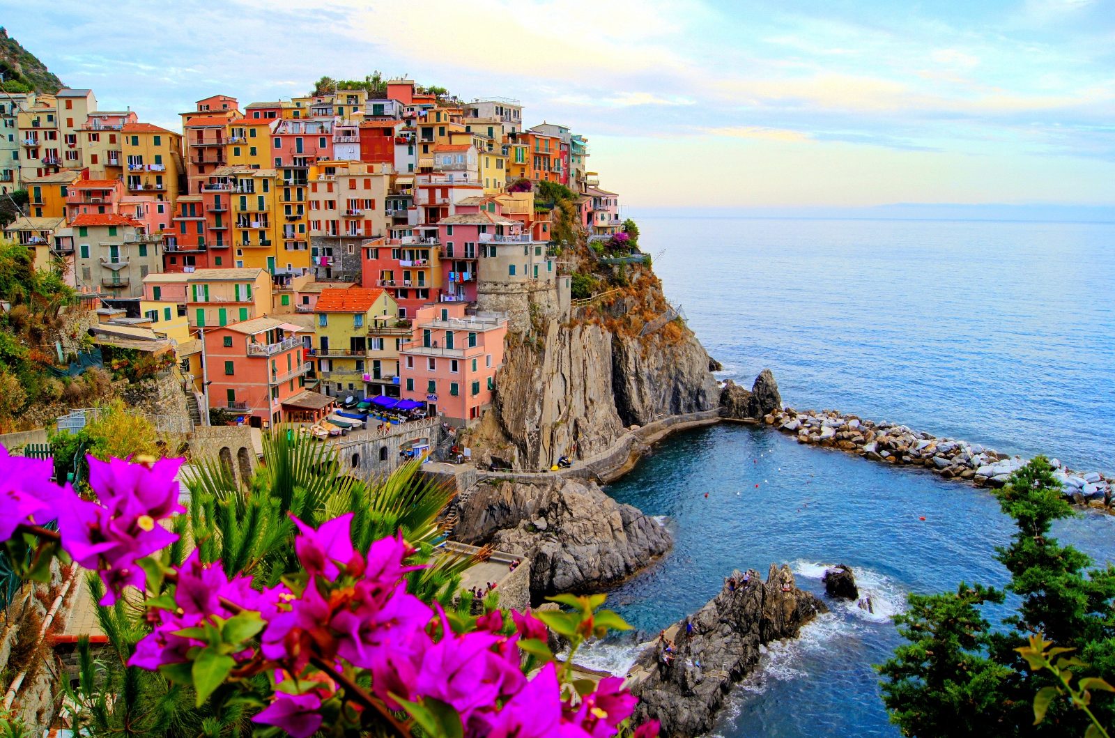 Manarola Harbor Viewpoint