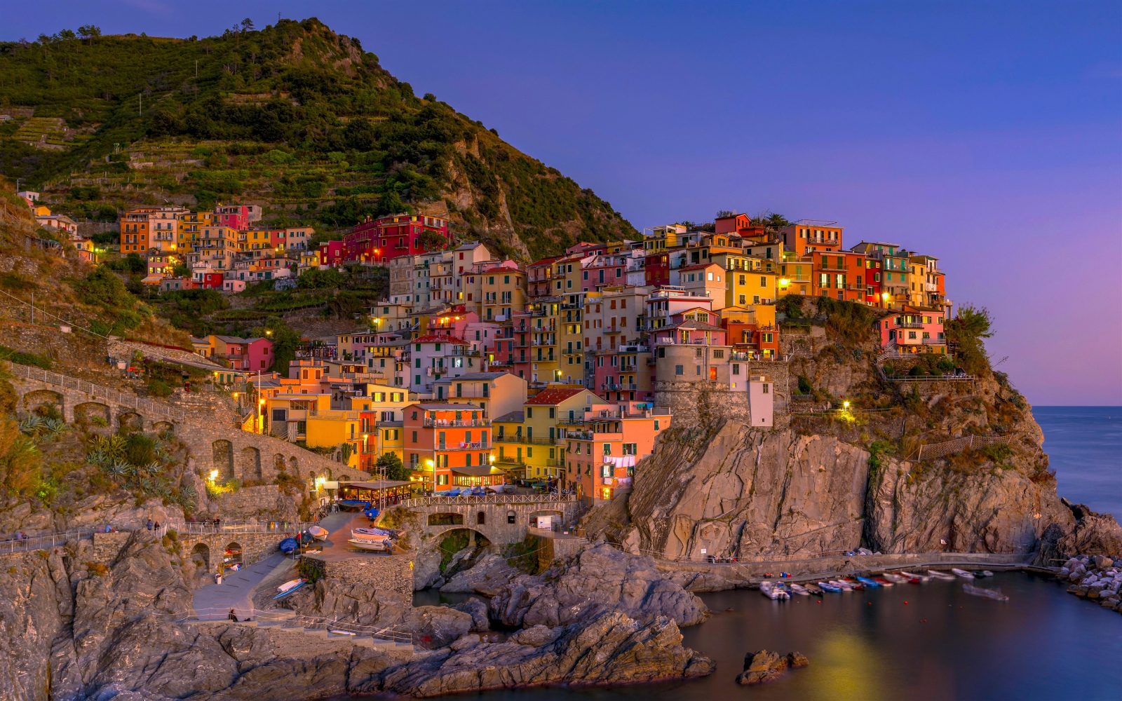 Manarola Scenic Viewpoint