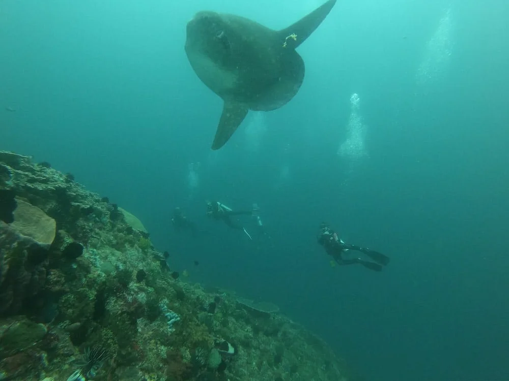 Gili Tepekong