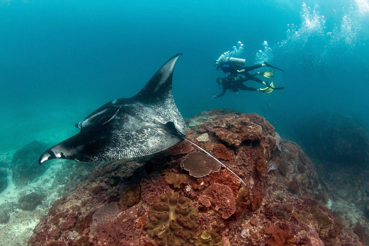 Bali Scuba Diving Day Trip