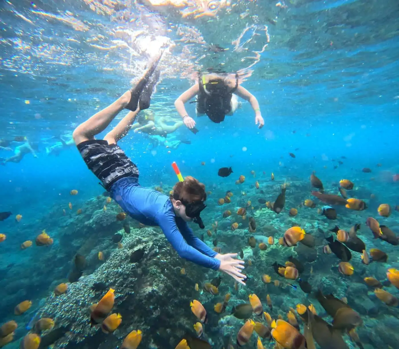 Blue Lagoon Underwater Slope