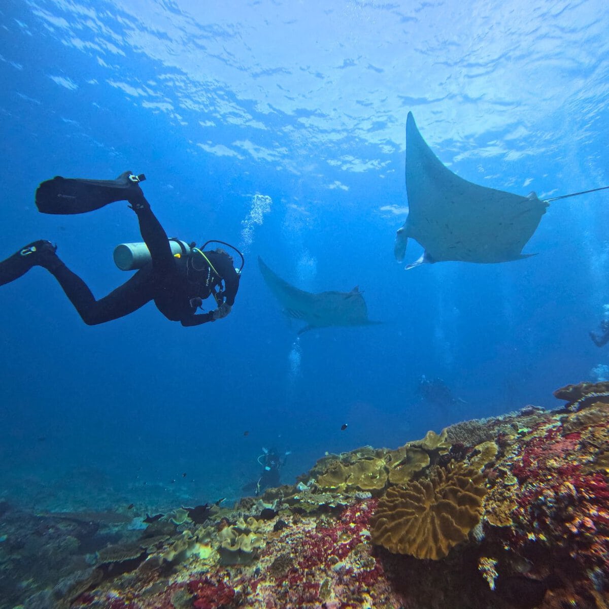 Manta Point